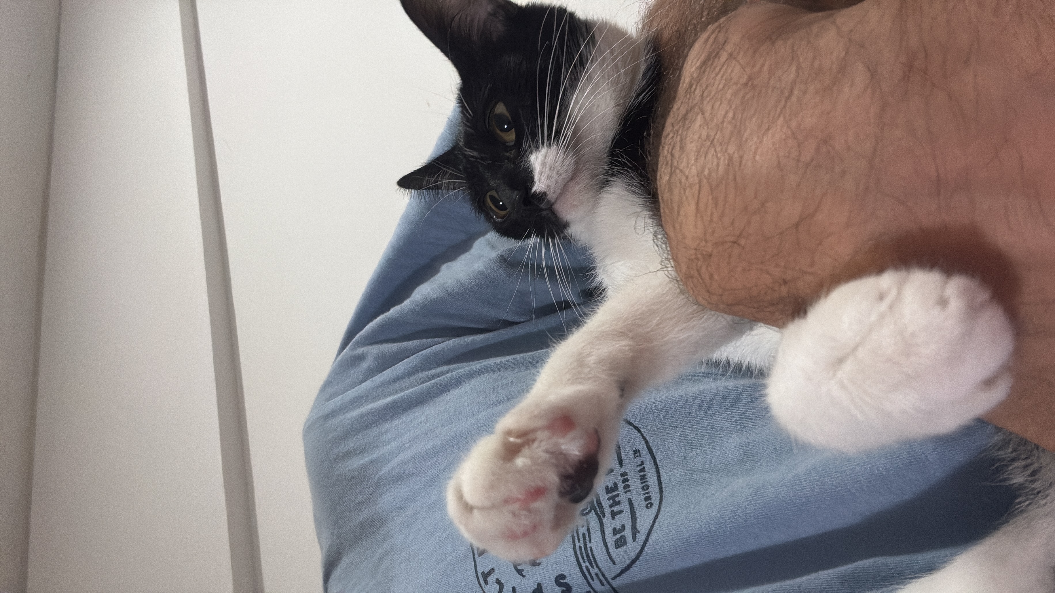 rita — perdido — en 415